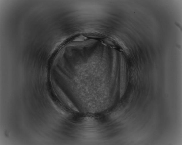 X0000093150496200710171354