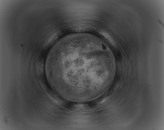 X0000093150499200710171353