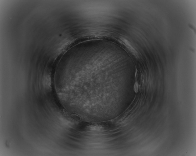 X0000093150500200710171353