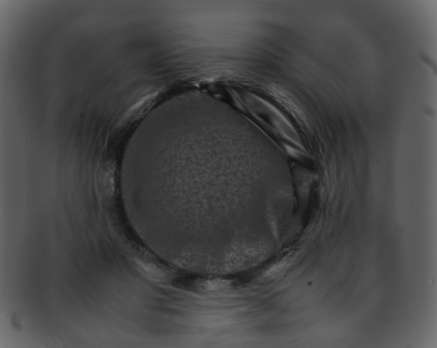 X0000093150501200710171353