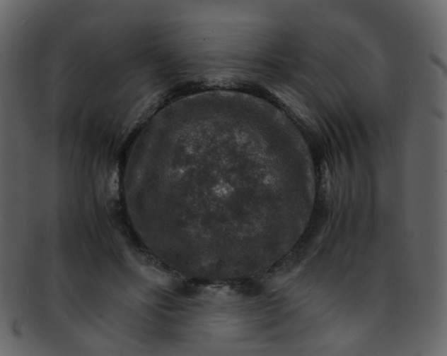 X0000093150502200710171353