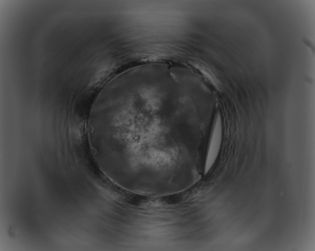 X0000093150503200710171353