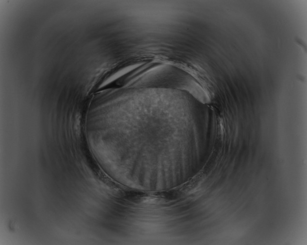 X0000093150504200710171353