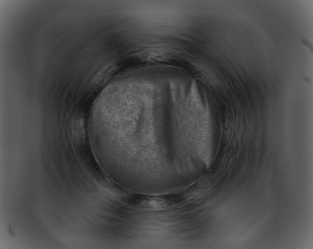 X0000093150506200710171353