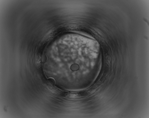 X0000093150507200710171353