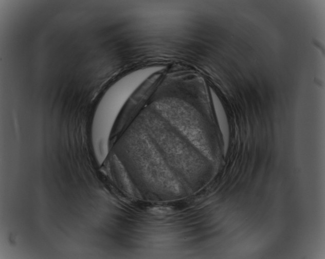 X0000093150508200710171353