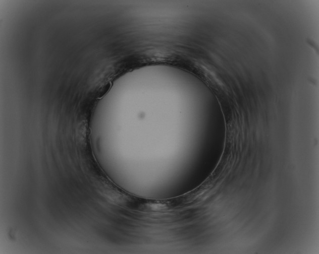 X0000093150509200710171353