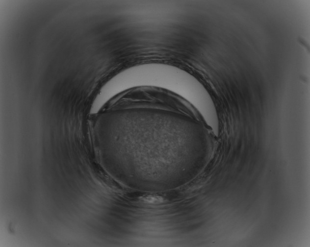 X0000093150512200710171353