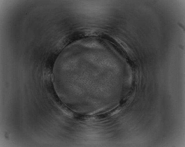 X0000093150513200710171353