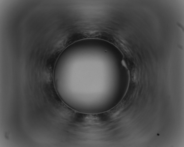 X0000093150515200710171353