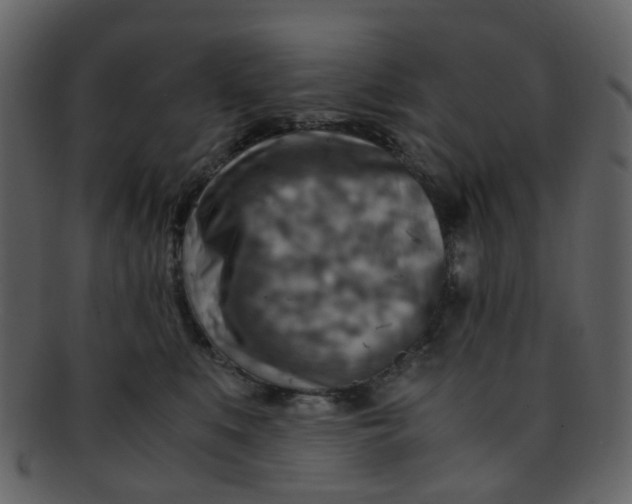 X0000093150519200710171353