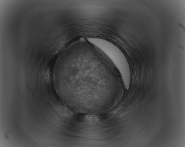 X0000093150520200710171353