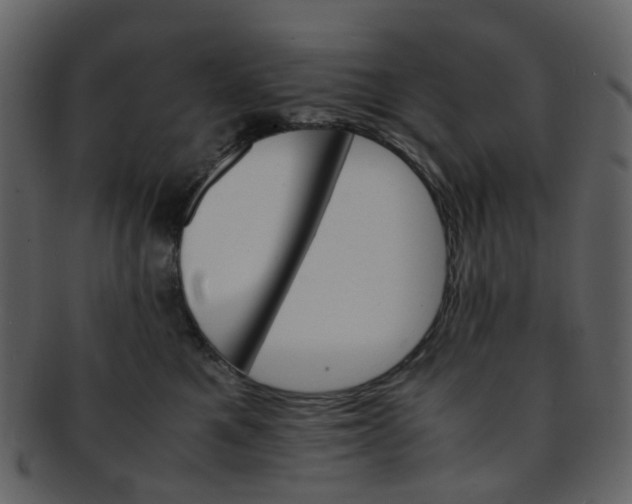 X0000093150521200710171353