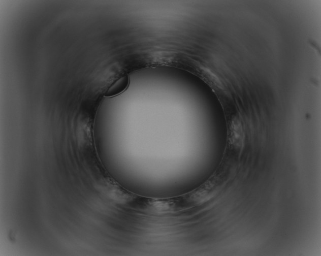 X0000093150522200710171353