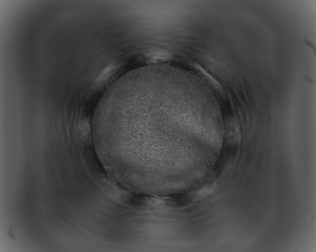 X0000093150523200710171353