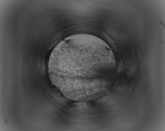 X0000093150524200710171353