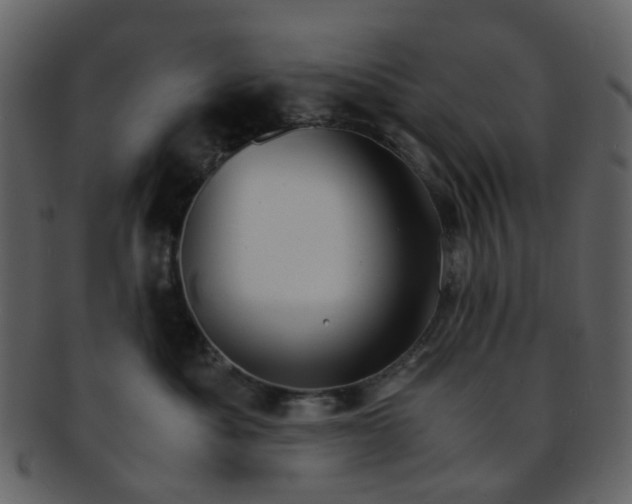 X0000093150525200710171353