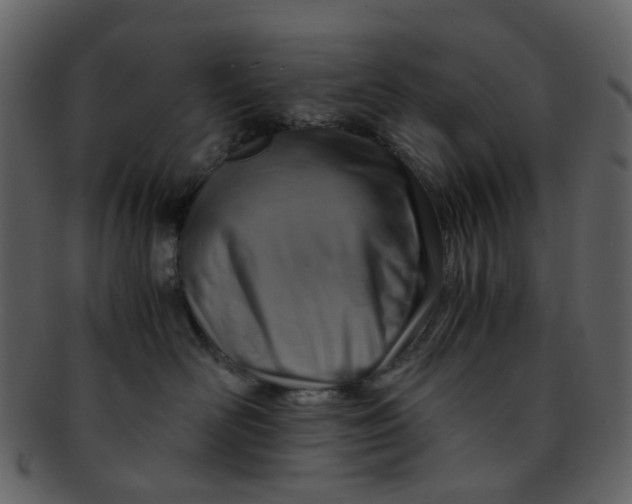 X0000093150526200710171353