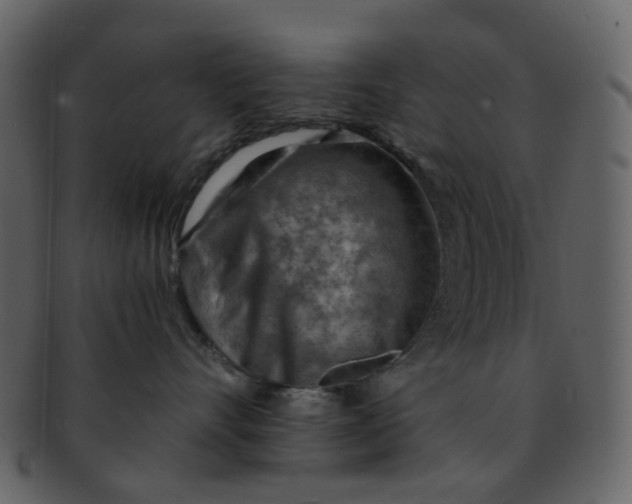 X0000093150528200710171353