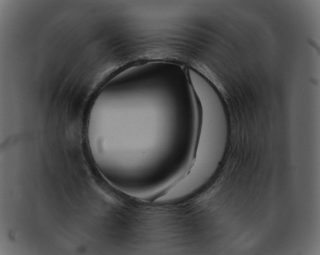 X0000093150530200710171352