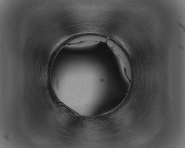 X0000093150532200710171352