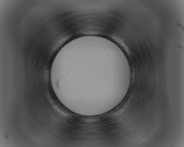 X0000093150533200710171352