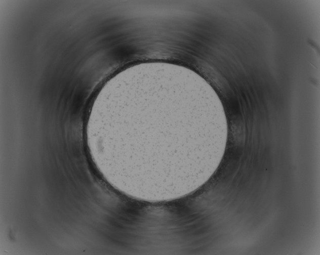 X0000093150534200710171352