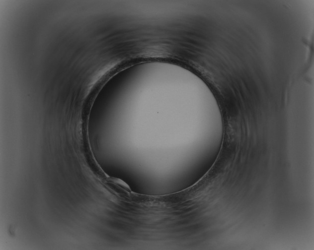 X0000093150535200710171353