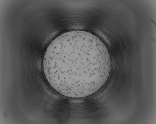 X0000093150537200710171353