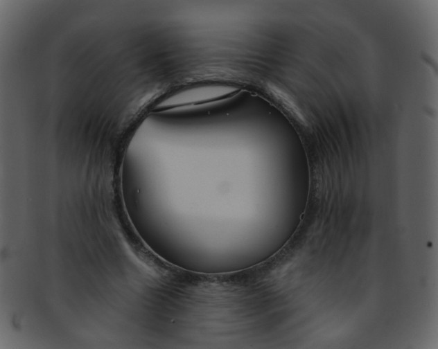 X0000093150538200710171353