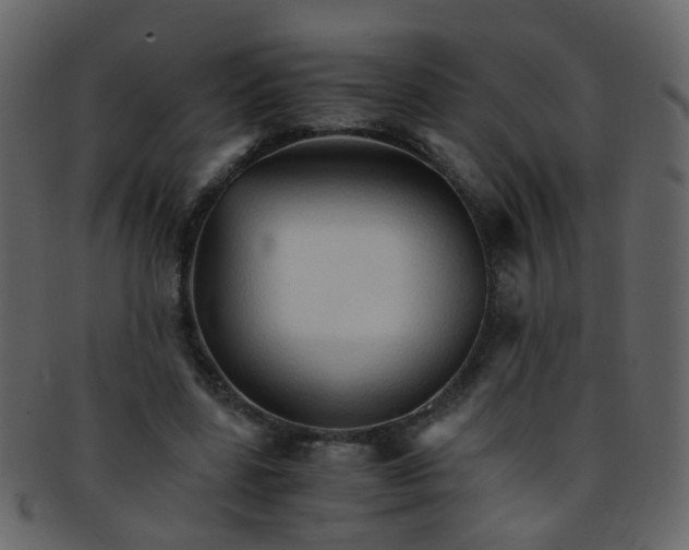 X0000093150539200710171353