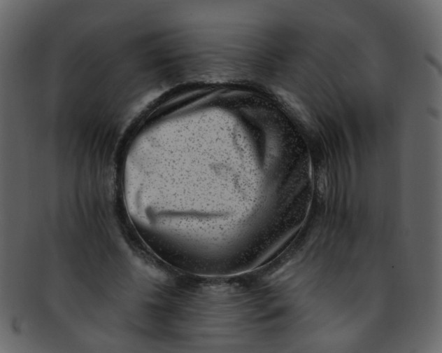 X0000093150540200710171353