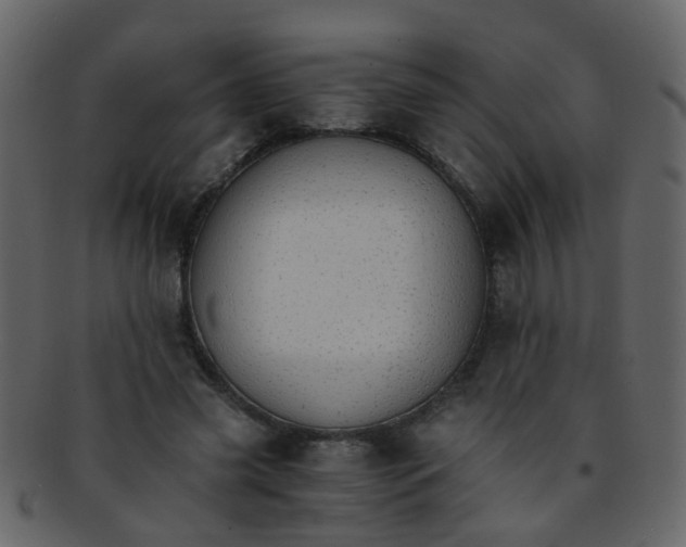 X0000093150541200710171353