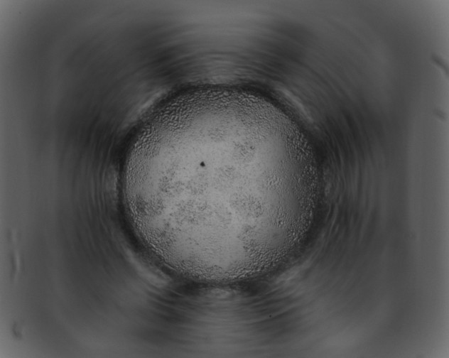 X0000093150542200710171353