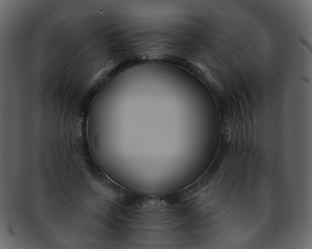 X0000093150543200710171353