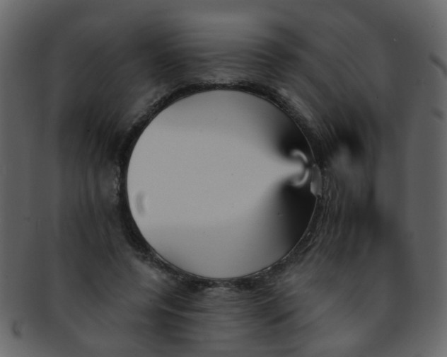 X0000093150544200710171353