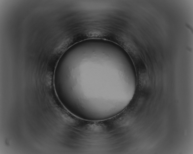 X0000093150545200710171353