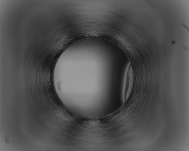 X0000093150548200710171353