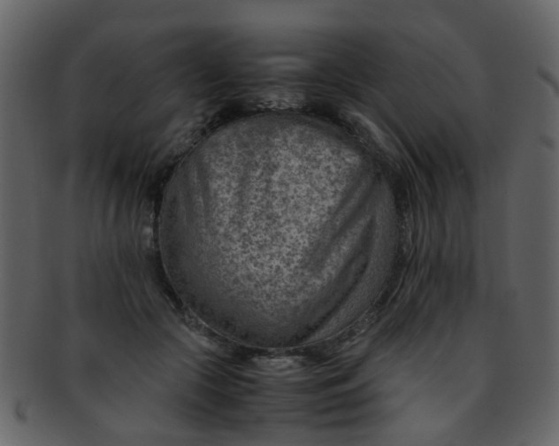 X0000093150553200710171353