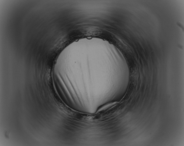 X0000093150554200710171353