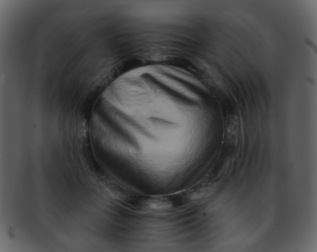 X0000093150555200710171353