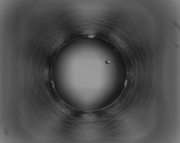 X0000093150556200710171353