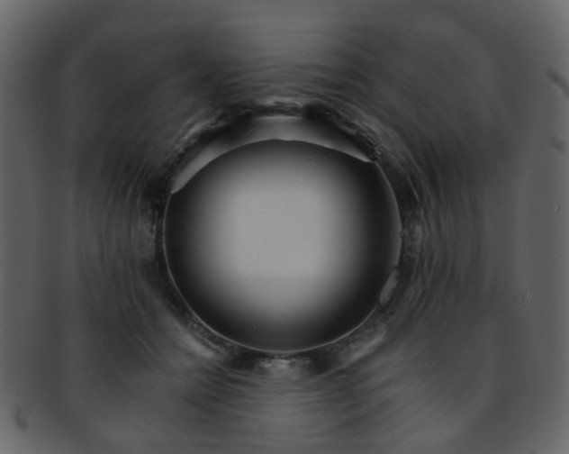 X0000093150558200710171353