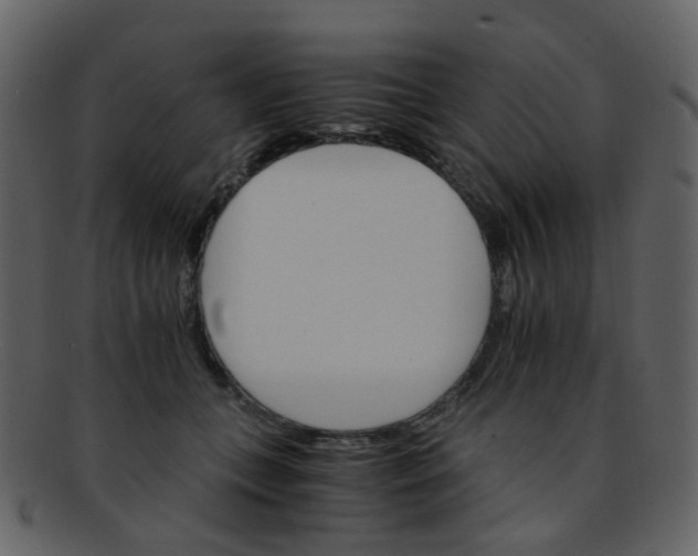 X0000093150559200710171353