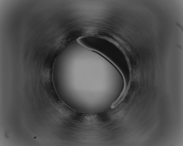 X0000093150560200710171353