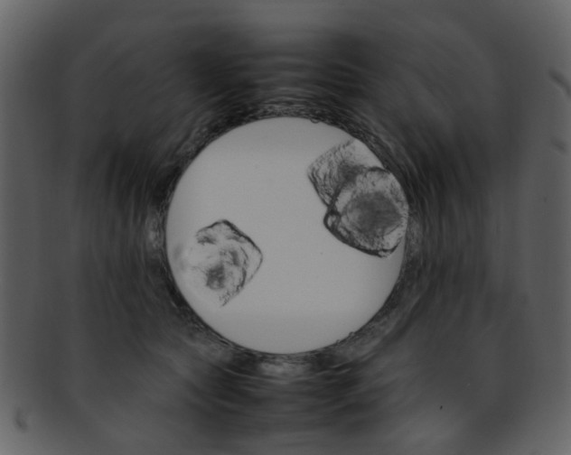 X0000093150561200710171353