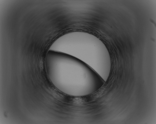 X0000093150562200710171353