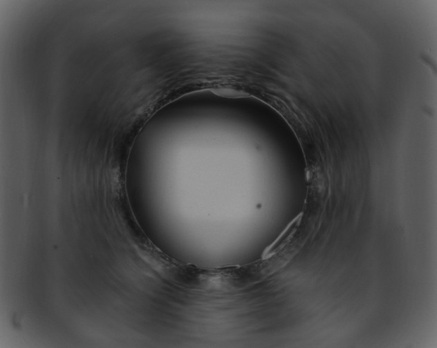 X0000093150564200710171353