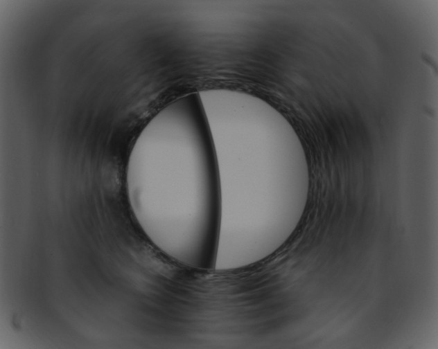 X0000093150566200710171353