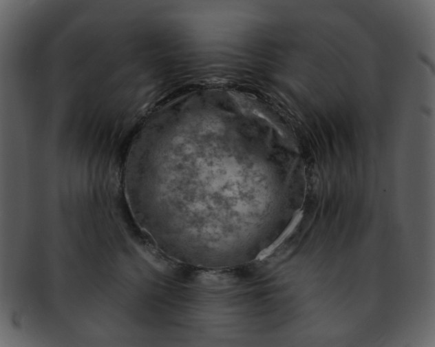 X0000093150568200710171353